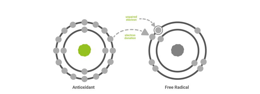 Figure 4 - BetaTrace® works to reduce free radicals as part of the antioxidant system