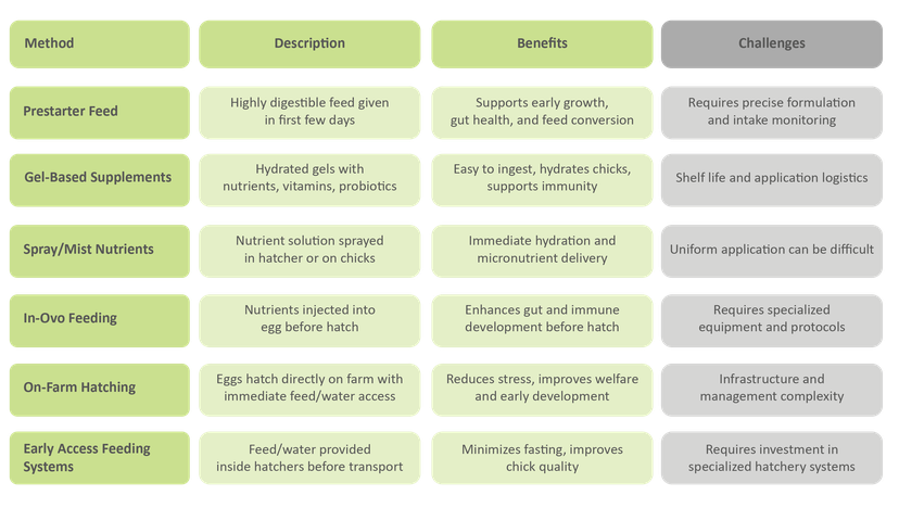 Table 1: The different methods of early support and their benefits and challenges.
