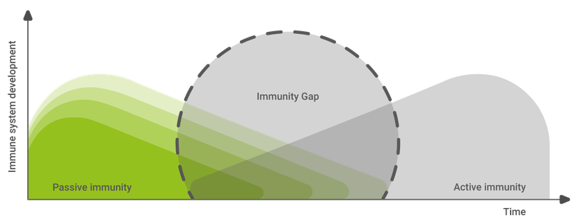 Figure 1: The immunity gap.