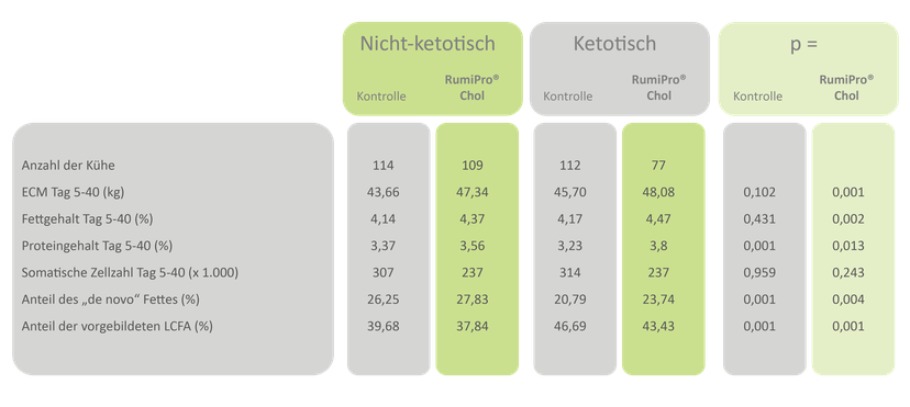 Tabelle 1: MLP-Ergebnisse