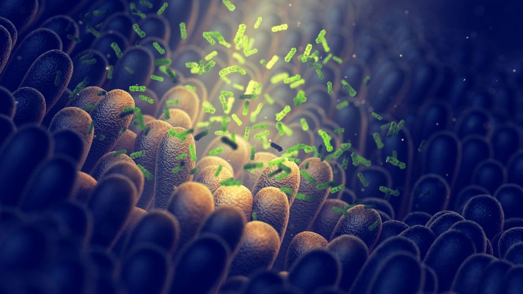Gut Health