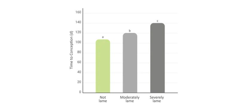 Figure 1: The effect of lameness on days from calving to conception in dairy cows