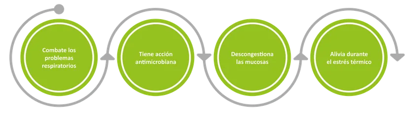 Figura 1 : la administración de BronchoVest puede tener los siguientes efectos beneficiosos