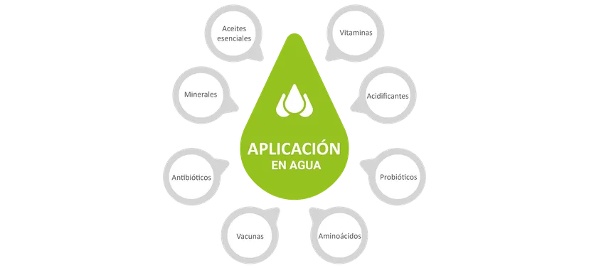 Figura 1: Posibles opciones de uso en el agua de bebida.