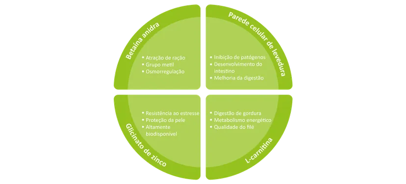 Figura 1: Navegando pelo futuro da aquicultura