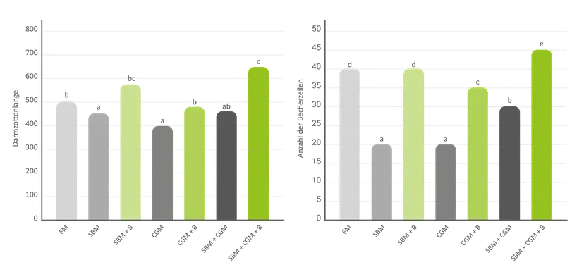 Abbildung 3: Die Wirkung von 0,2 % BetaTec® Aqua