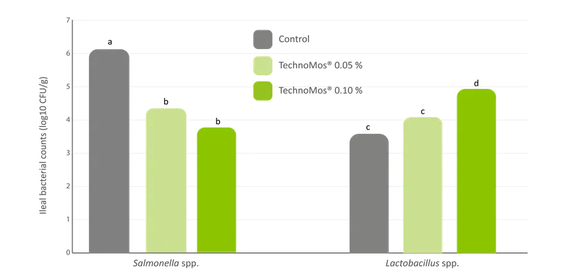 Figure 3: TechnoMos® supplementation at different dosages reduces ileal count of Salmonella spp