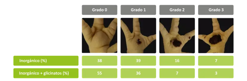 Tabla 1: Resultados del ensayo de campo de la dermatitis de las almohadillas