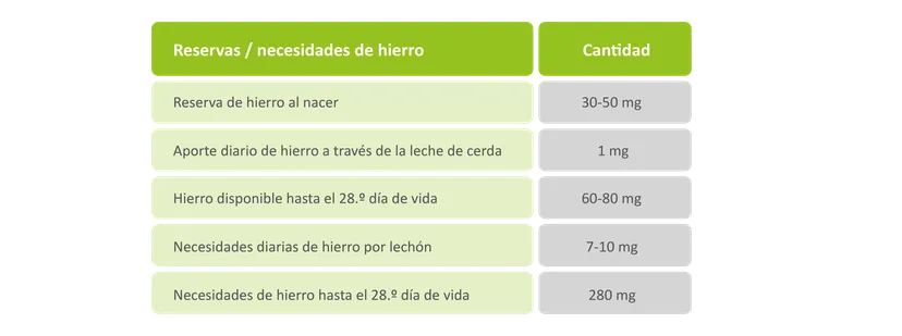 Tab. 1: Balance aproximado de hierro en lechones
