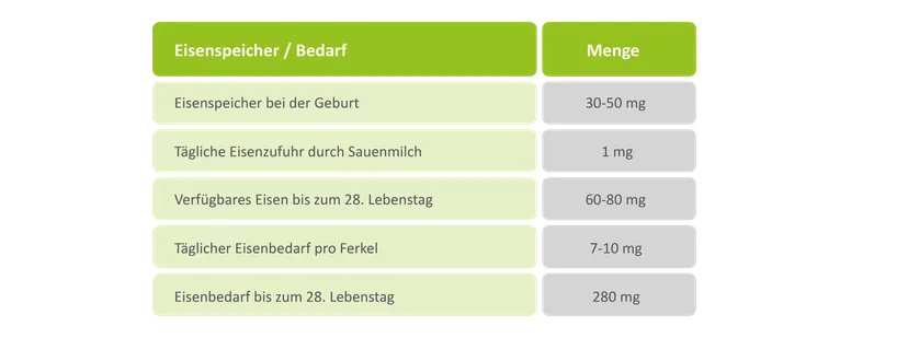 Tab.1: Ungefähre Eisenbilanz bei Saugferkeln (Honal, 2003)