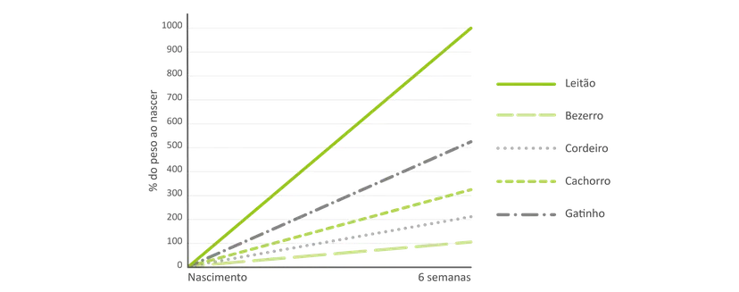 Fig. 1: Crescimento proporcional do peso corporal nas primeiras