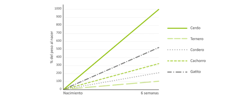 Fig. 1: Crecimiento proporcional del peso corporal en las primeras