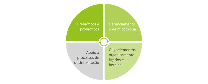 Mas um conceito inteligente de aditivos alimentares