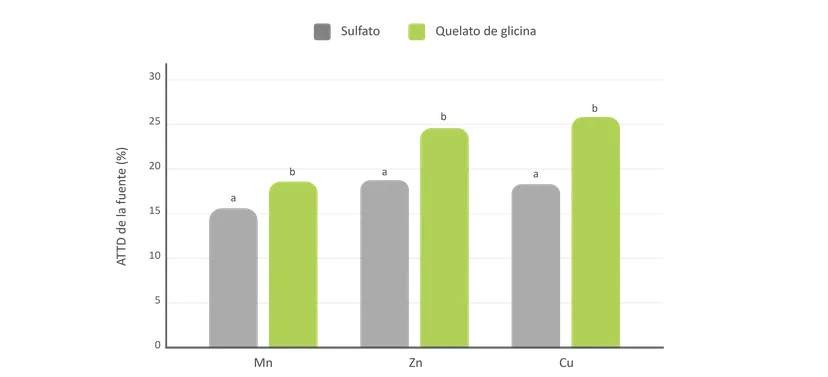 Fig 1: Los quelatos de glicina (ECOTrace®) muestran una mayor digestibilidad aparente total