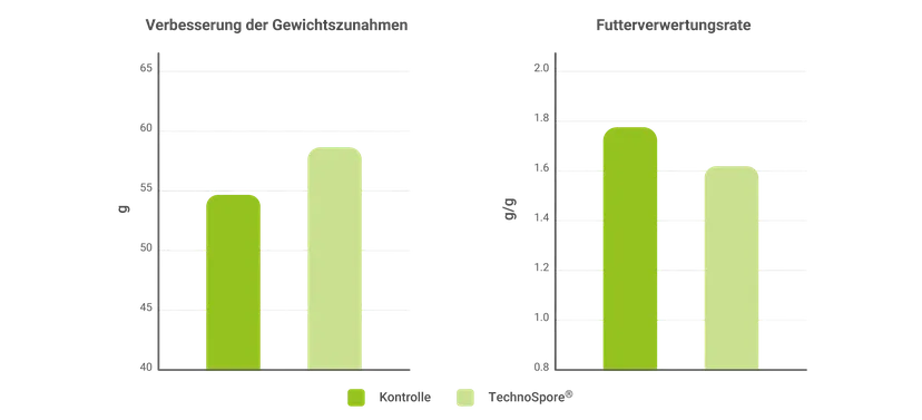 Abbildung 1 - Wirkung von TechnoSpore® auf die Leistung von Masthähnchen