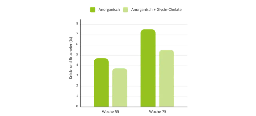 Abb 3: Effekt von Glycin-Chelaten (ECOTrace®) in einem Legehennenfutter