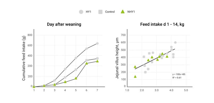 Figure 1 Addition of 1 Percent Hydrolyzed Kluyveromyces