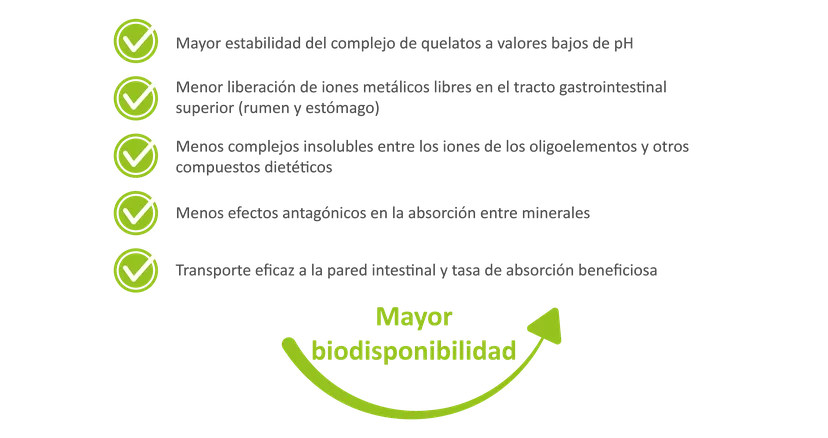 Fig. 3: ventajas de los oligoelementos ligados a la glicina en el ejemplo de E.C.O.Trace®