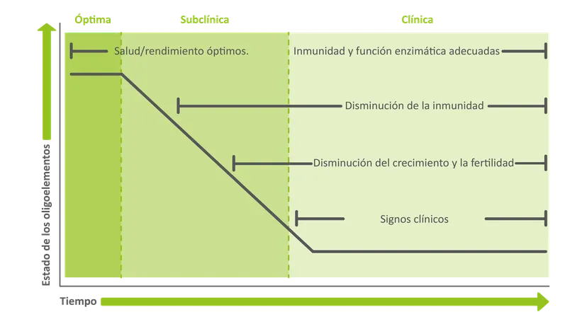 Figura 2 - efectos de la carencia de microminerales en la salud y la producción