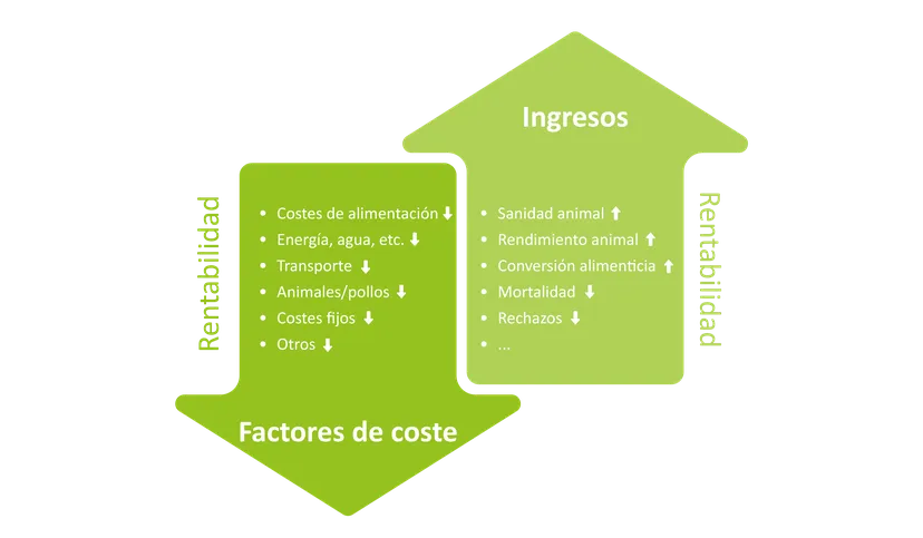 Figura 1: representación esquemática de la influencia de los distintos factores de costes y factores de ingresos en la rentabilidad de la avicultura