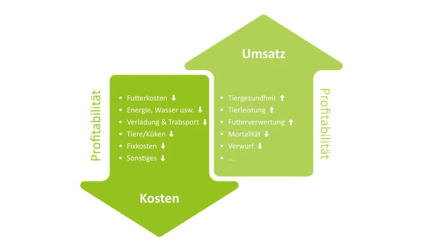 Abbildung 1: Schematische Darstellung der Profitabilität in der Geflügelhaltung