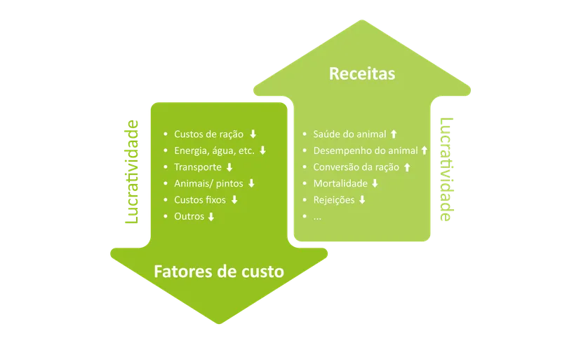 Ilustração 1: Representação esquemática da influência dos vários fatores de custos e dos fatores de receita sobre a lucratividade na avicultura