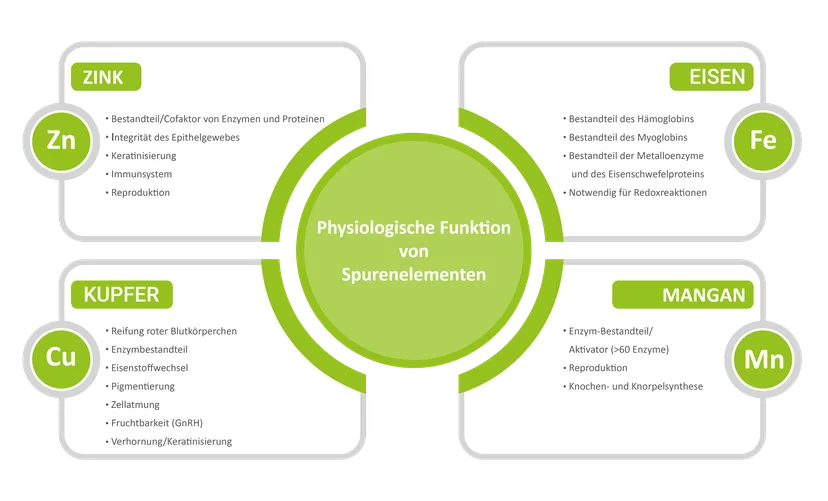 Abbildung 1 - Die vielen physiologischen Funktionen essenzieller Spurenelemente