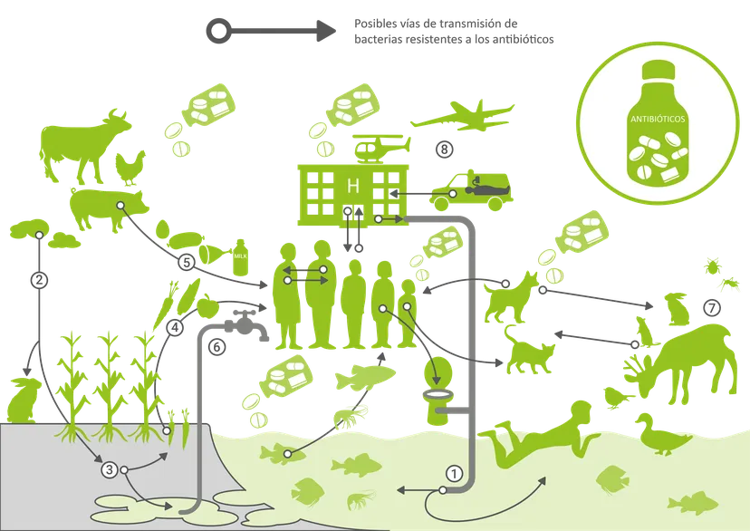 Figura 1 Fuente: bioMérieux SA (2020)