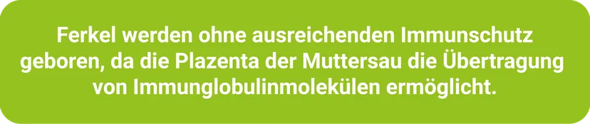 Abb 1: Die Bedeutung der Kolostrumaufnahme