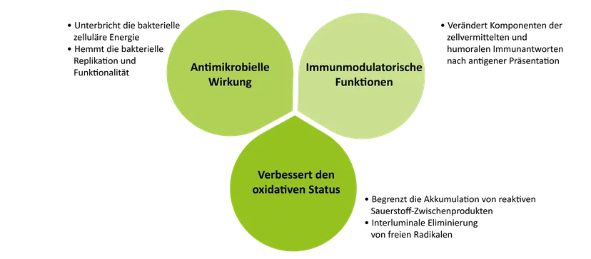 Abb.1. Ätherische Öle und ihr Einfluss auf das Immunsystem nach Ballou et al. (2019).