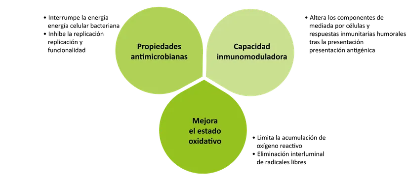 Figura 1: aceites esenciales y su influencia en el sistema inmunitario según Ballou et al. (2019)