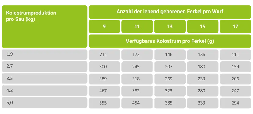 Tab. 1: Einfluss der mütterlichen Kolostrumproduktion und der Wurfgröße auf die verfügbare Kolostrummenge je Ferkel