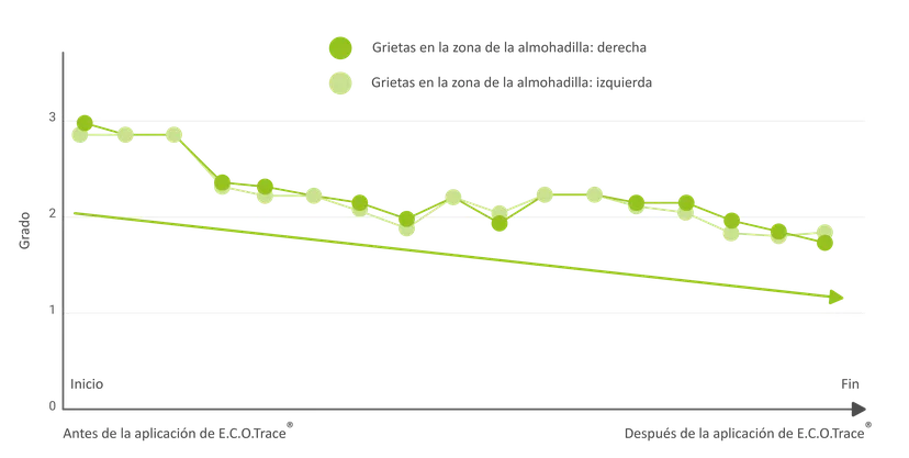 Figura 5: Efectos positivos de los quelatos de glicina (ECOTrace®)-2