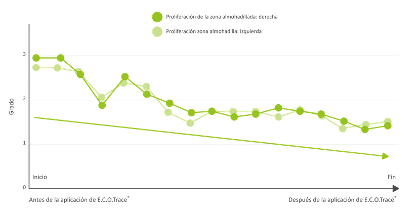 Figura 5: Efectos positivos de los quelatos de glicina (ECOTrace®)-1