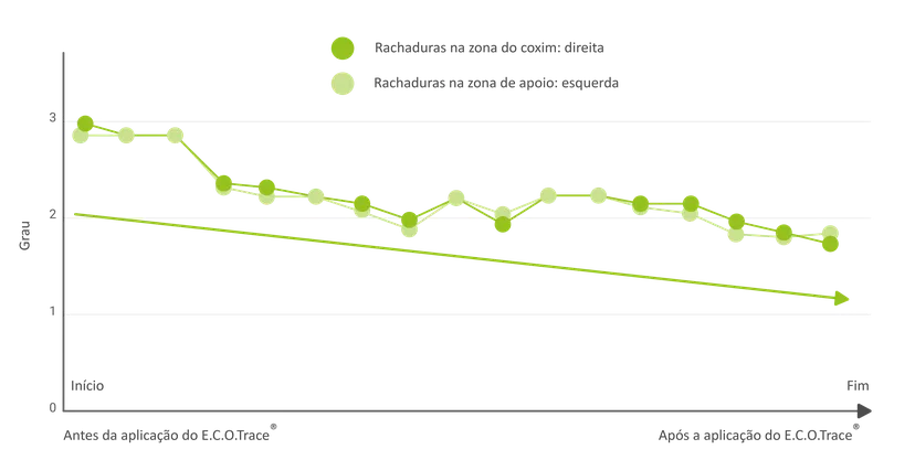 Figura 5: Efeitos positivos dos quelatos de glicina  (ECOTrace®) - 2