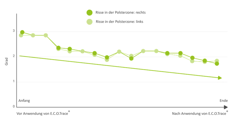 Abbildung 5: Positive Effekte von Glycinchelaten (ECOTrace®) -2