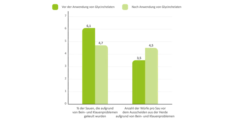 Abbildung 6: Geringere Remontierungsrate und verbesserte Langlebigkeit