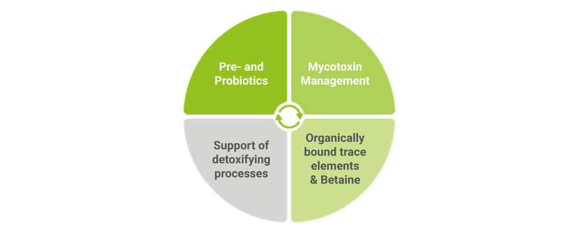 smart concept of feed additives