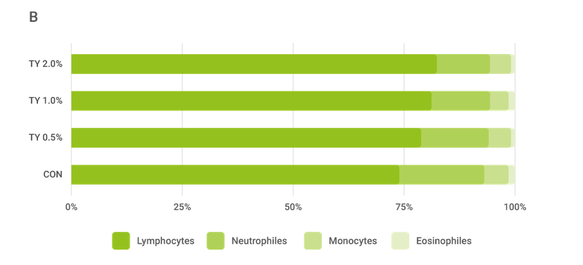 Figure 2b: The composition of white blood cells (WBC)