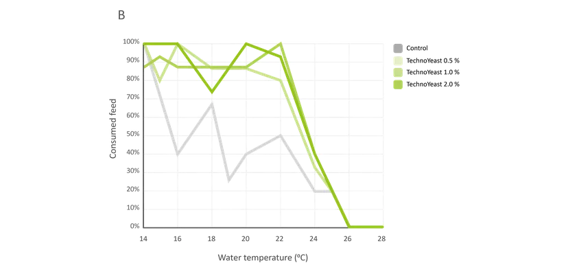 Figure 5b: The consumed feed from standard feeding regime during thermal challenge