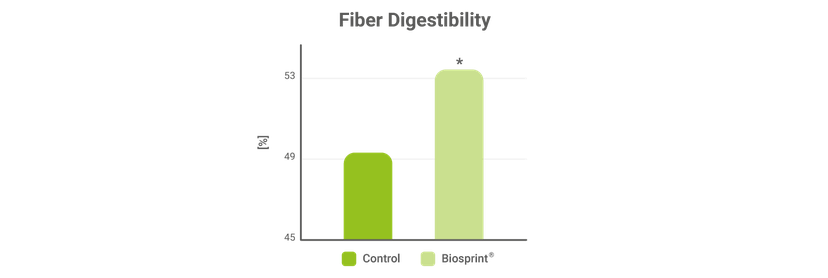 Figure 4: NDF (neutral detergent fiber) digestibility of cows
