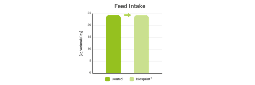 Figure 2: The effects of the live yeast Biosprint - feed intake