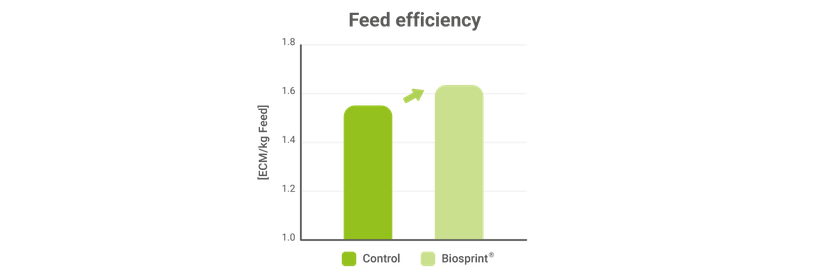 Figure 3: The effects of the live yeast Biosprint - feed efficiency