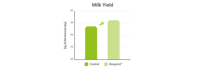 Figure 1: The effects of the live yeast Biosprint - milk yield