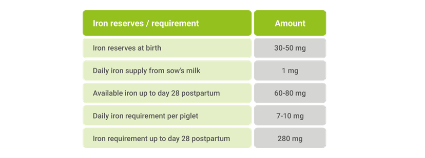 Table 1: Approximate iron balance in suckling piglets