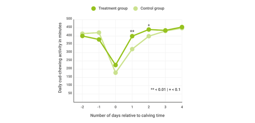 Figure 1 RumiPro Chewing Activity