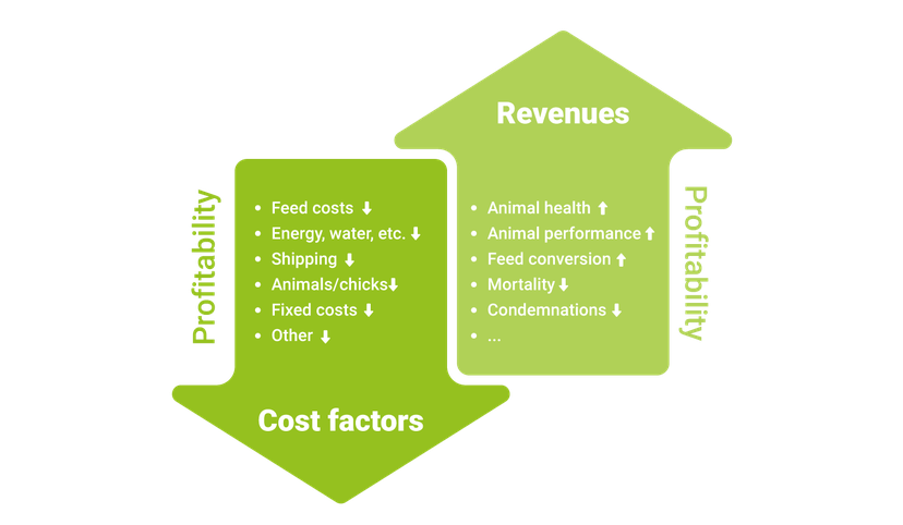 Figure 1: Schematic representation of profitability in poultry farming